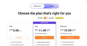 FlexClip review