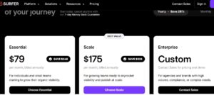 Surfer seo Pricing